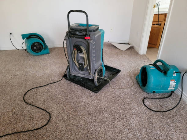 Best 24-hour water damage restoration  in Lakeport, TX