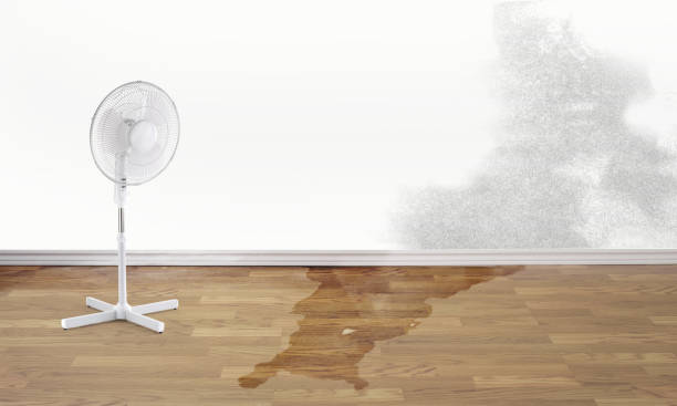Lakeport, TX Water damage restoration Company