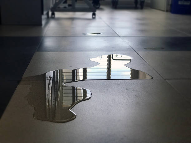 Best Water damage restoration near me  in Lakeport, TX