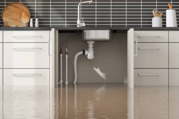 Best Water damage cleanup near me  in Lakeport, TX