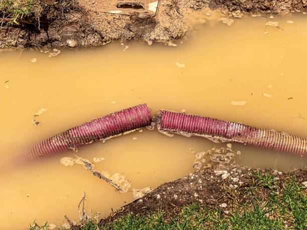 Water damage restoration insurance claims in Lakeport, TX